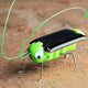 Children Baby Solar
